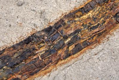 Прикрепленное изображение: IMGP6388.jpg